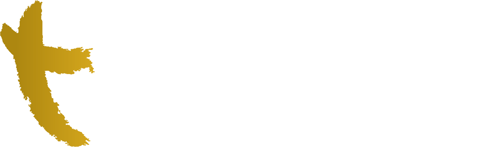 Impact Solutions International
